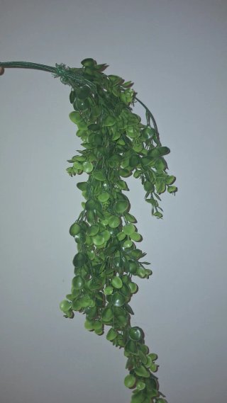Plantas artificiales decorativas