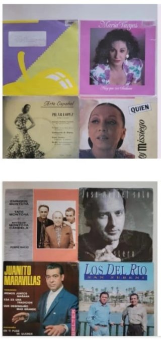 Lote 48 Vinilos variados
