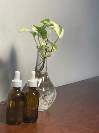 Sérum Capilar Natural - Fuerza y Crecimiento