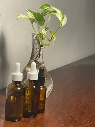 Sérum Capilar Natural - Fuerza y Crecimiento