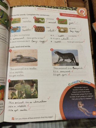 Libro kids Can! Activity book 3 de primaria