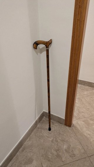 Bastón para caminar