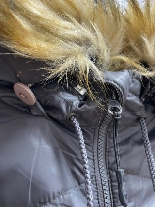 Chaqueta Canadá Gosse gris sin capucha