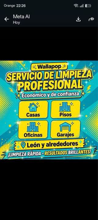 Empleada de limpieza