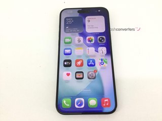 apple iphone 15 pro max 256gb