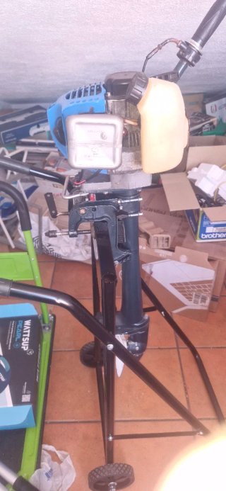 Motor fueraborda 2 tiempos 5.8 HP