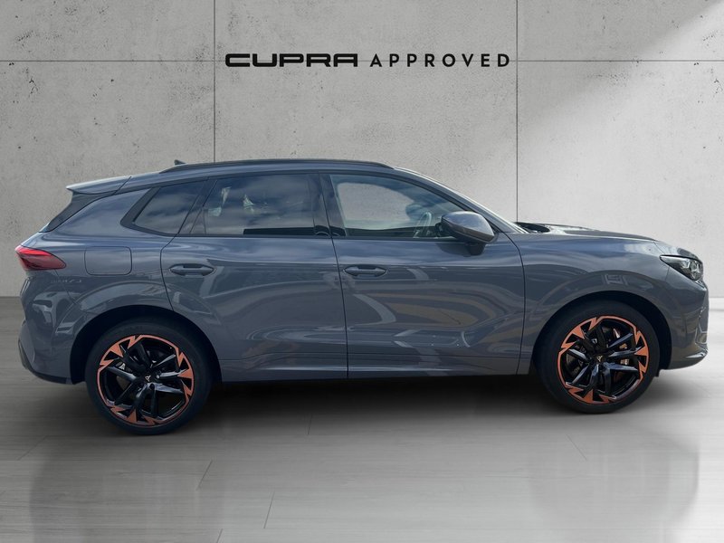 Cupra Terramar 2024, foto 3