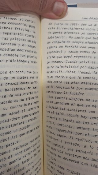 ANTES DEL ADIOS