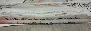 2 Federe Cuscini Stile Shabby Chic Rose 44x44cm