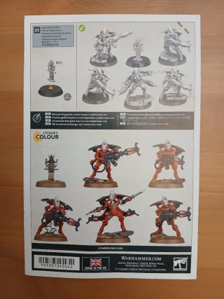 5 Arañas de la Disformidad Aeldari 40k