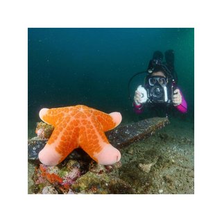 DIVEVOLK funda buceo pantalla táctil