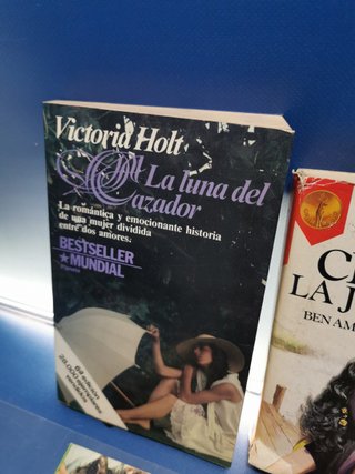 Lote 8 NOVELAS ROMÁNTICAS, Cásate conmigo, tu pasado me condena, Volver a Amar, La luna del Cazador y mas.