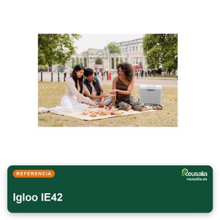 Igloo IE42 nevera eléctrica 42L 12V/230V