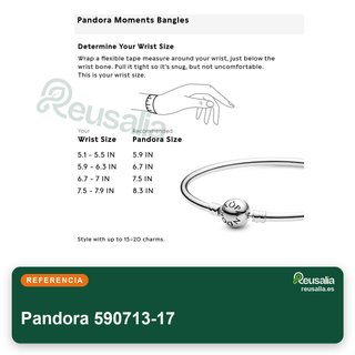 Pandora pulsera rígida plata 590713-17