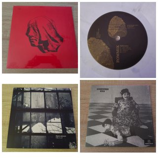 Lote Vinilos Electrónica actual