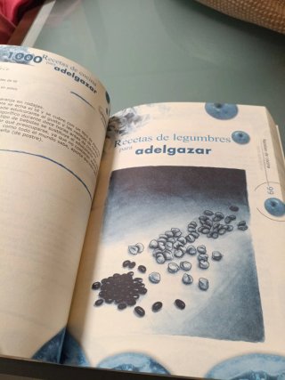 1000 recetas de cocina para adelgazar