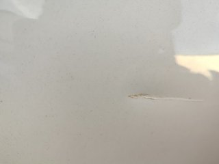 PUERTA TRASERA IZQUIERDA SEAT LEON (1P1) Comfort
