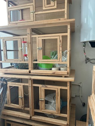 Jaulas para chinchillas