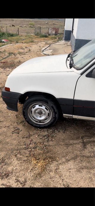 Renault R5 1994