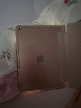 iPad 8ª Gen 32GB Wi-Fi Gris Espacial