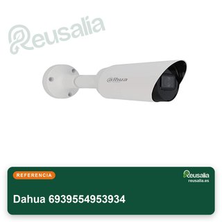 Dahua 6939554953934 cámara videovigilancia 1080p