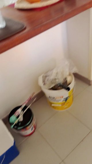 Pintor profesional económico 660525238