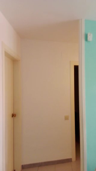 Pintor profesional económico 660525238