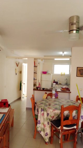 Pintor profesional económico 660525238