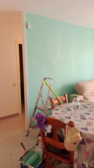 Pintor profesional económico 660525238