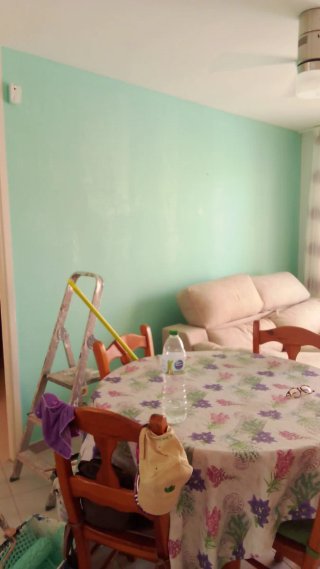 Pintor profesional económico 660525238