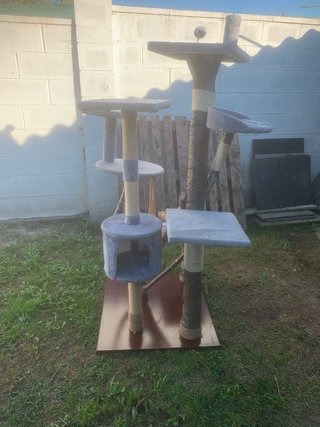 Árbol para gatos multinivel