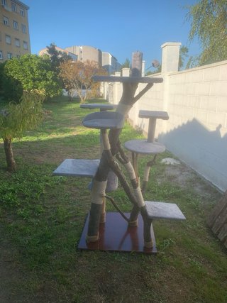 Árbol para gatos multinivel