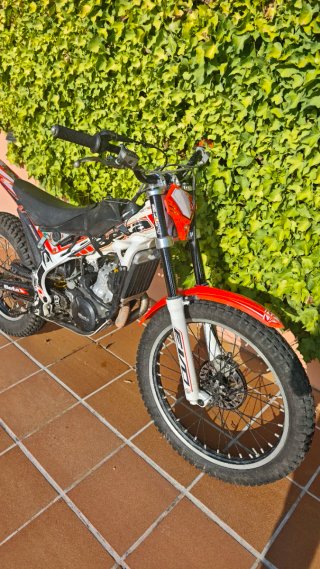 Beta Evo 300cc Trial Roja y Blanca