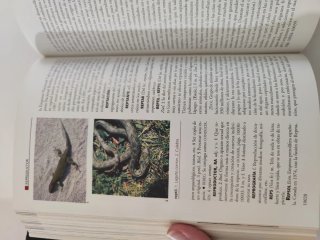 Gran enciclopedia universal
