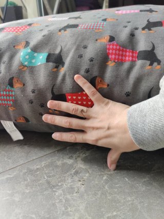 Cama XL para Perro