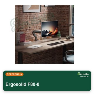 Ergosolid brazo soporte monitor 17-30" VESA 75-100