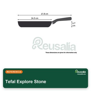Tefal Explore Stone sartén 24 cm aluminio