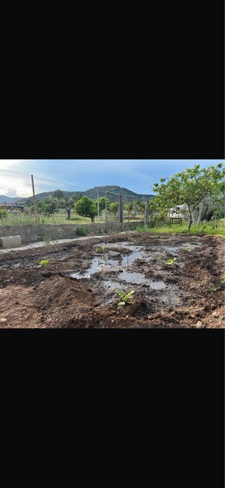 Se vende casa rustica con terreno en torres torres