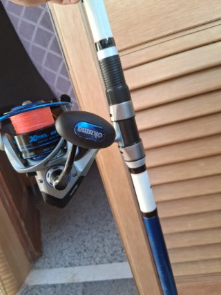 Canna da pesca surfcasting con mulinello mitchell