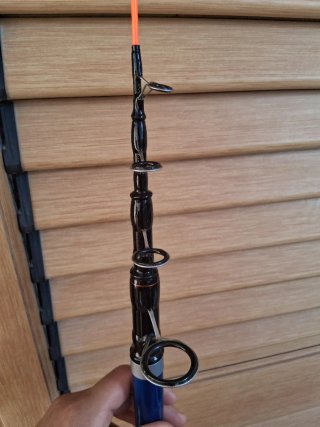 Canna da pesca surfcasting con mulinello mitchell