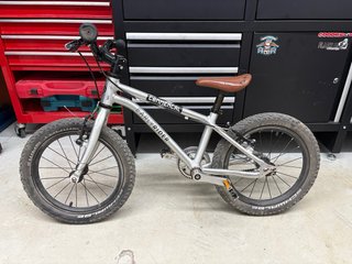 Bicicleta Infantil Early Rider 16”