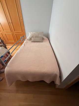 Cama articulada eléctrica 105cm + colchón sanitari