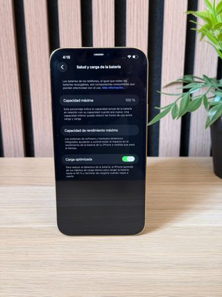 iPhone 12 Pro Max 256GB 100% Batería