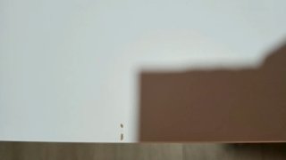 Mesa baja blanca moderna