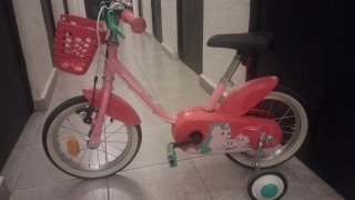 Bicicleta infantil rosa 2-5 años
