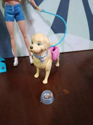Barbie con cane e accessori