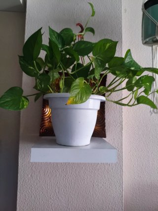 Estantería flotante con anclaje más top vs ikea