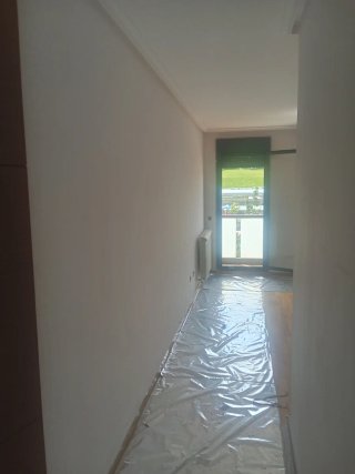 Pintor profesional económico