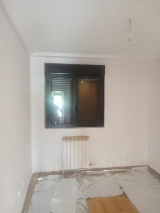 Pintor profesional económico
