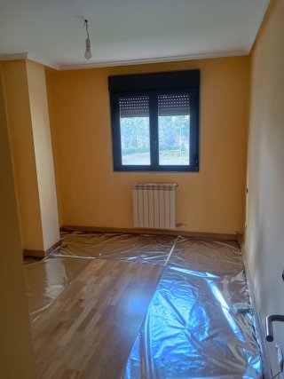 Pintor profesional económico